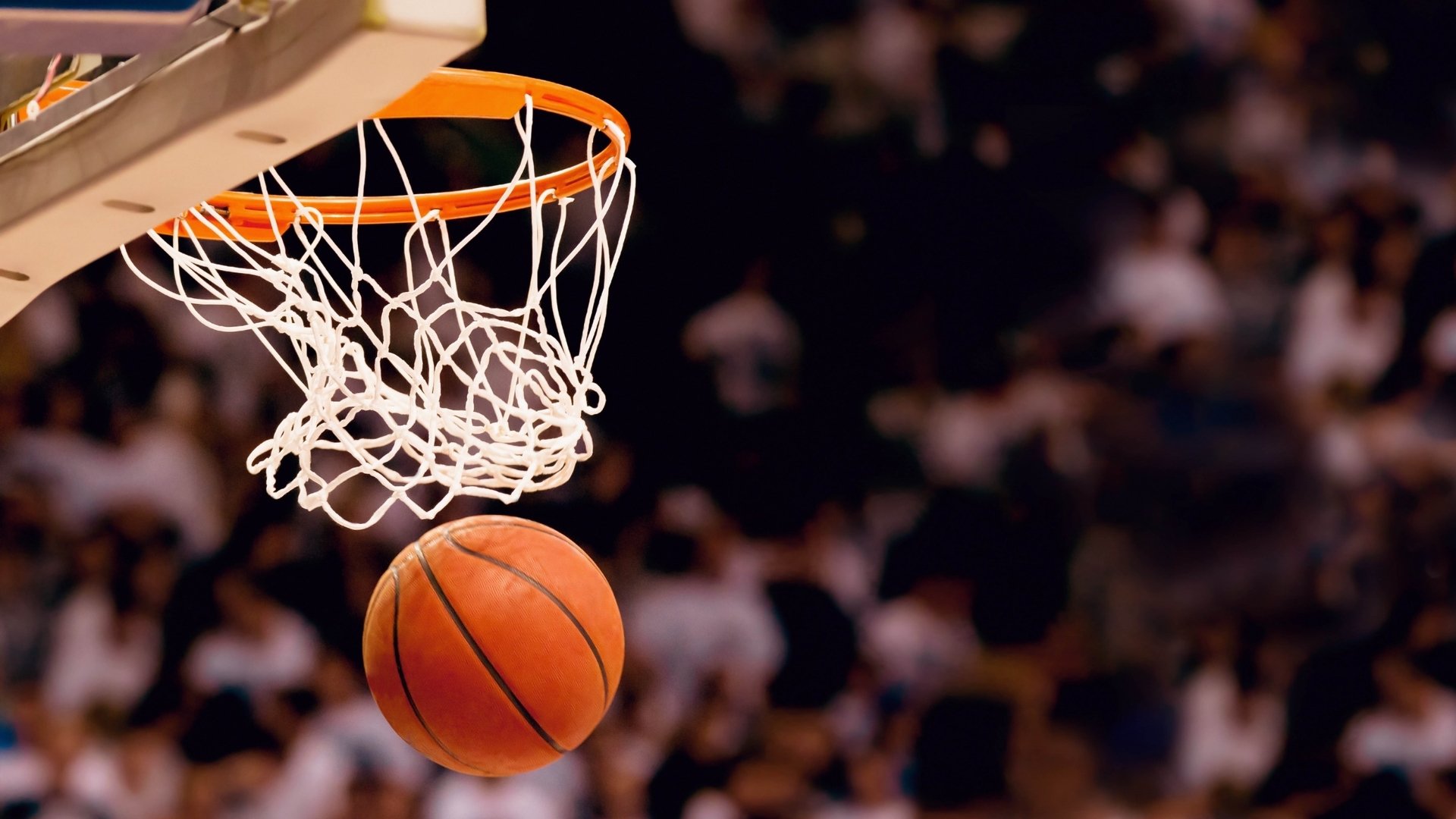 TheShy加盟热火剑指东部冠军，网友热议，超级上单能否统治NBA？|开云品牌平台